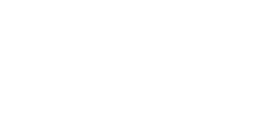 TwoWingsPH